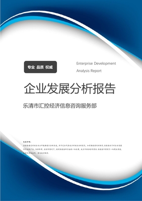 樂清市匯控經濟信息咨詢服務部 企業定位、業務發展與市場前景分析報告
