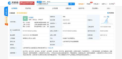 京東關聯(lián)電競公司戰(zhàn)略入股北京霓旌科技，業(yè)務版圖拓展至經濟信息咨詢新領域